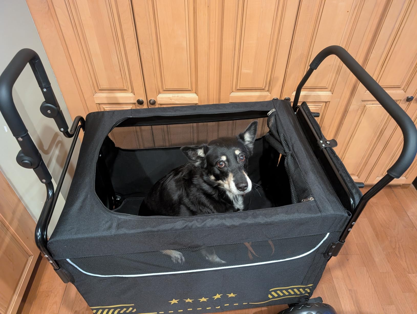 All Terrain Pet Stroller for Medium & Large Dogs with Ramp, Foldable Dog Stroller with Brakes, 3 Entrances, Dual Adjustable Handles with Reversible Push, 160lbs Weight Capacity customer photo 1