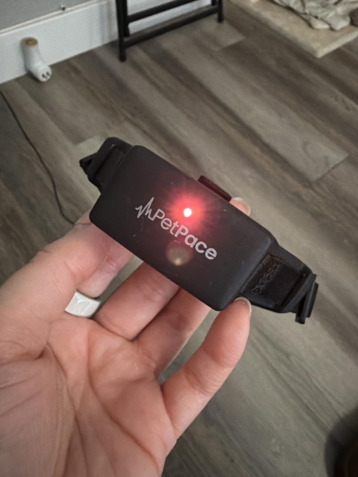 New PetPace V3.0 Cat Health Monitor by PetPace - AI Health Collar with 24/7 Vital Signs Alerts, GPS, Telehealth Consults, AskaVet & Share with Your Vet & SmartWatch Sync - Subscription Required customer photo 1