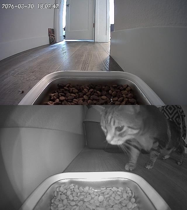 TYM Automatic Cat Feeder with 2 Camera for 2 Cats, 7L Dog Food Dispenser with Night Vision 2K 4MP, 5G WiFi Dual Auto Cat Feeder with Smart App for Multiple Cats & Small Dogs, Detachable for Clean customer photo 2