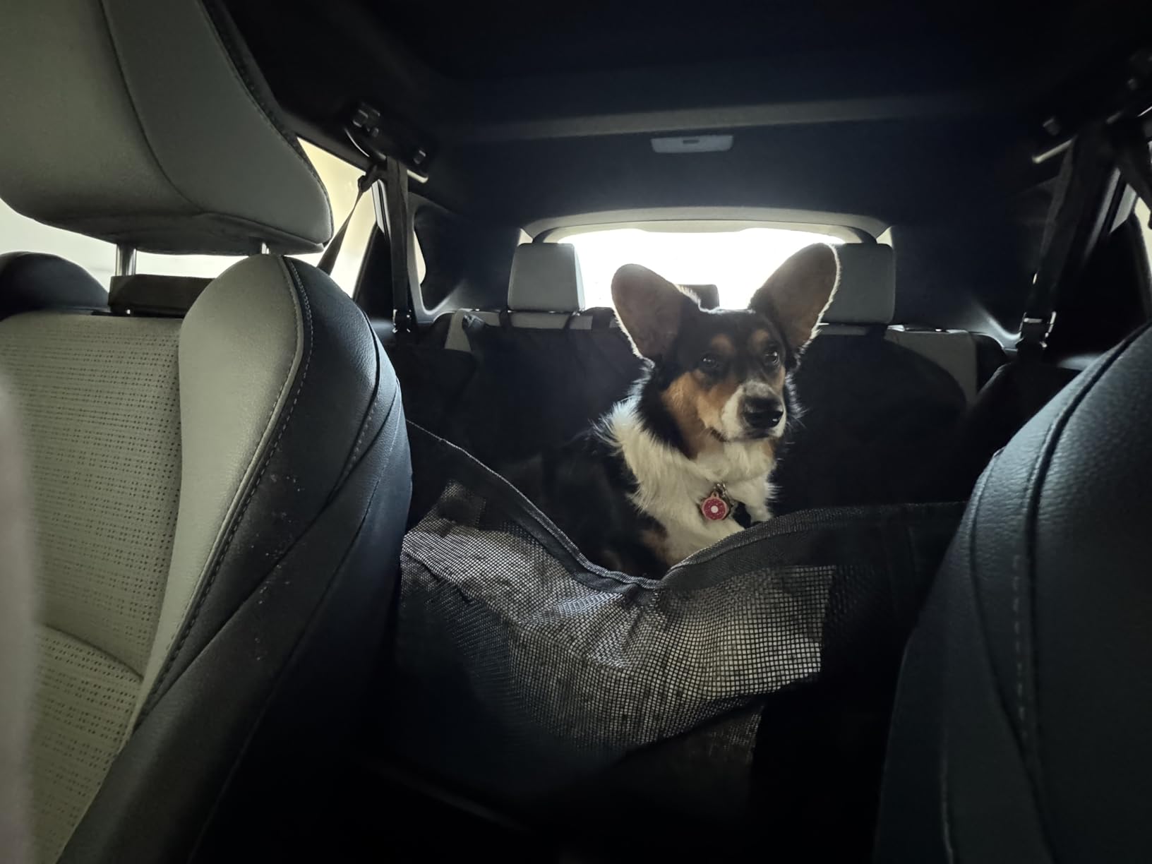 URPOWER Hard Bottom Dog Car Seat Cover for Pets 100% Waterproof Seat Cover Hammock 600D Heavy Duty Scratch Proof Nonslip Durable Back Seat Covers for Cars Trucks and SUVs customer photo 1