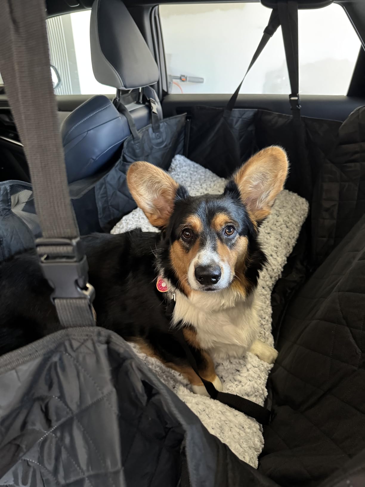 URPOWER Hard Bottom Dog Car Seat Cover for Pets 100% Waterproof Seat Cover Hammock 600D Heavy Duty Scratch Proof Nonslip Durable Back Seat Covers for Cars Trucks and SUVs customer photo 2