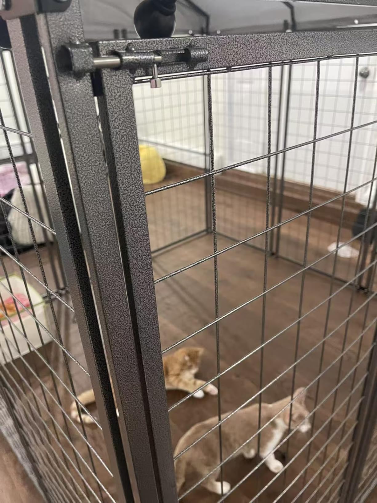 10'x10' Large Outdoor Dog Kennel,Heavy Duty Galvanized Steel Enclosure with Waterproof Roof & Secure Lock for Giant Breed Dogs (124in) customer photo 1