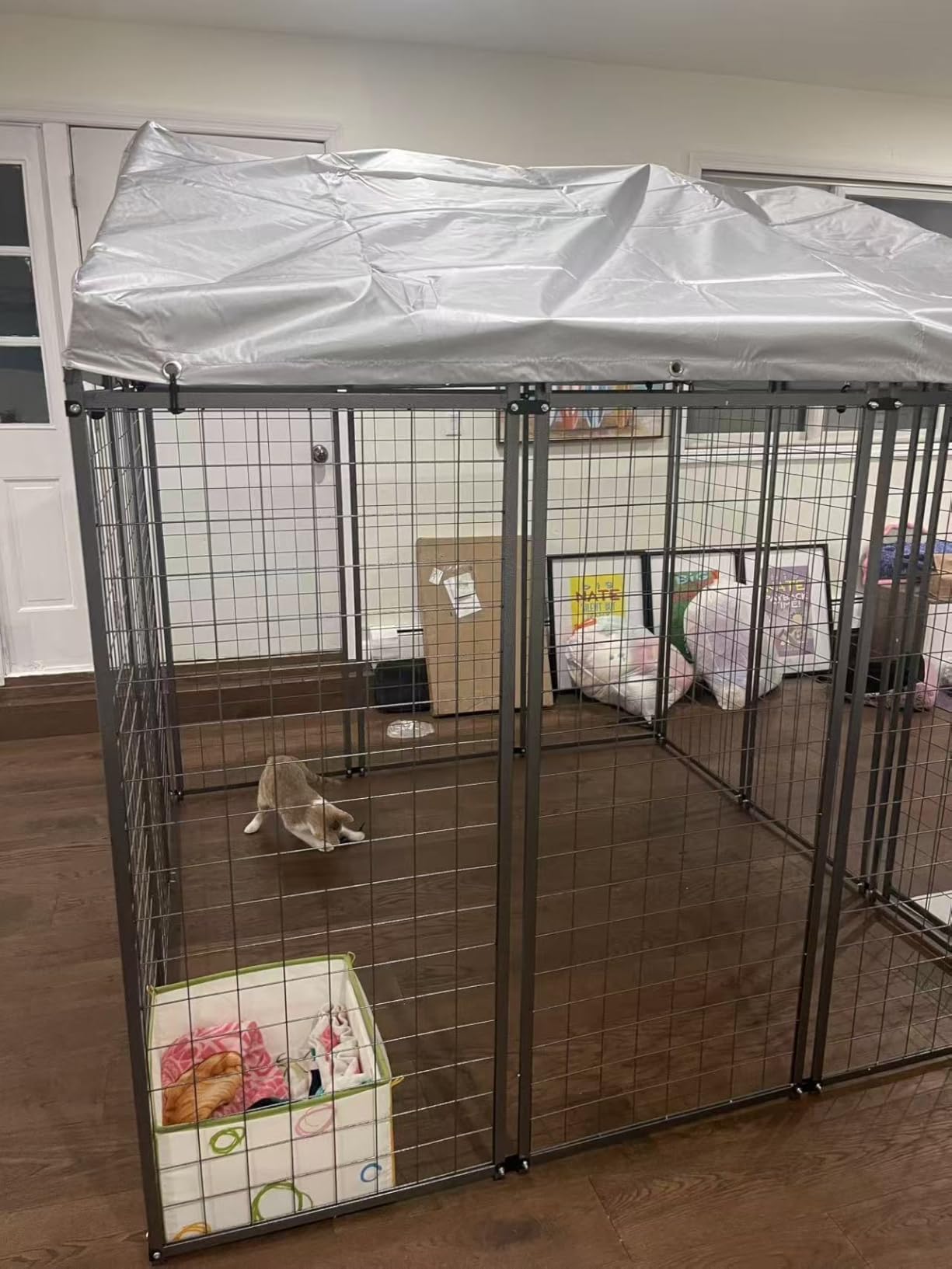 10'x10' Large Outdoor Dog Kennel,Heavy Duty Galvanized Steel Enclosure with Waterproof Roof & Secure Lock for Giant Breed Dogs (124in) customer photo 2