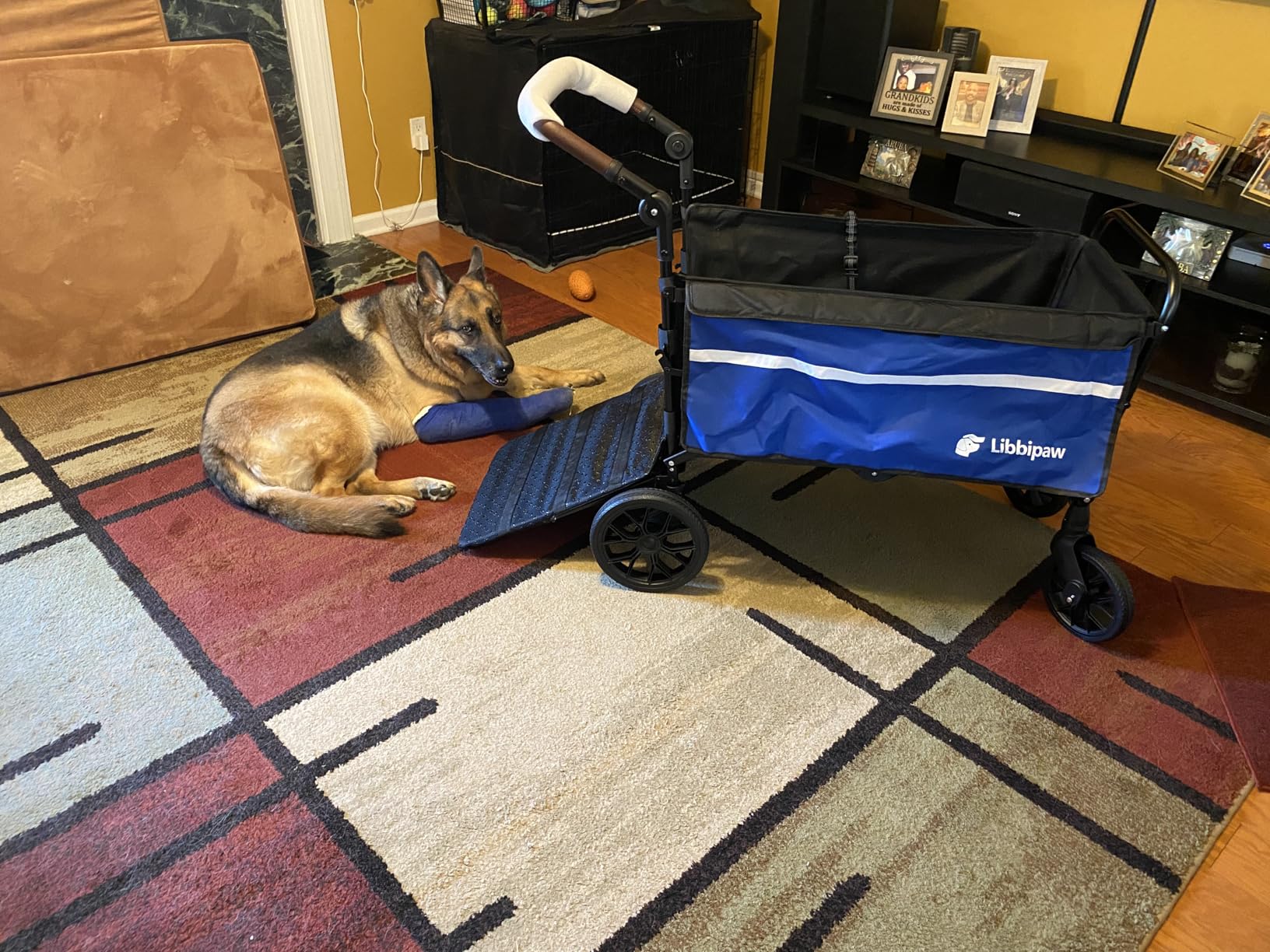 Dog Wagon for Medium Large Dogs up to 200lbs, All Terrain Foldable Large Pet Stroller with Ramp, Dog Wagon Cart with Adjustable Handle & One-Step Brake customer photo 1