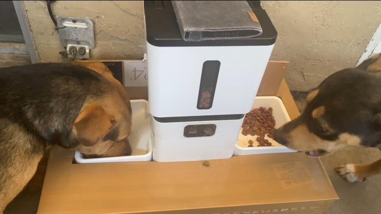 Yakry Automatic Cat Feeder for 2 Cats - Two HD Cameras Easy Setup 5GHz Stable WiFi Dog Food Dispenser with HD Night Vision - 8L Pet Feeder with Dual Bowls for Multi-Cat & Small Dogs Indoor customer photo 2