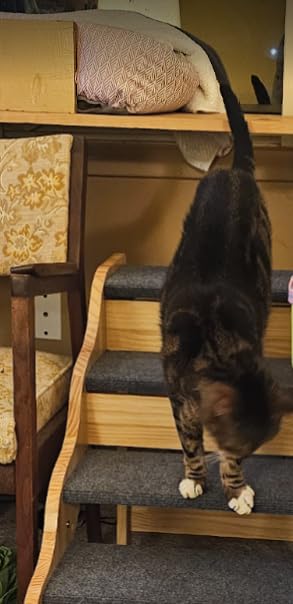 VEVOR Wood Pet Stairs, 5-Step Dog Stairs for Beds, Sofa & Cars, 150lbs Load Capacity, Folded Flat Design, Stable & Sturdy Cat & Dog Step Ladder for Small Medium Large Older Pet Puppy Essentials customer photo 2