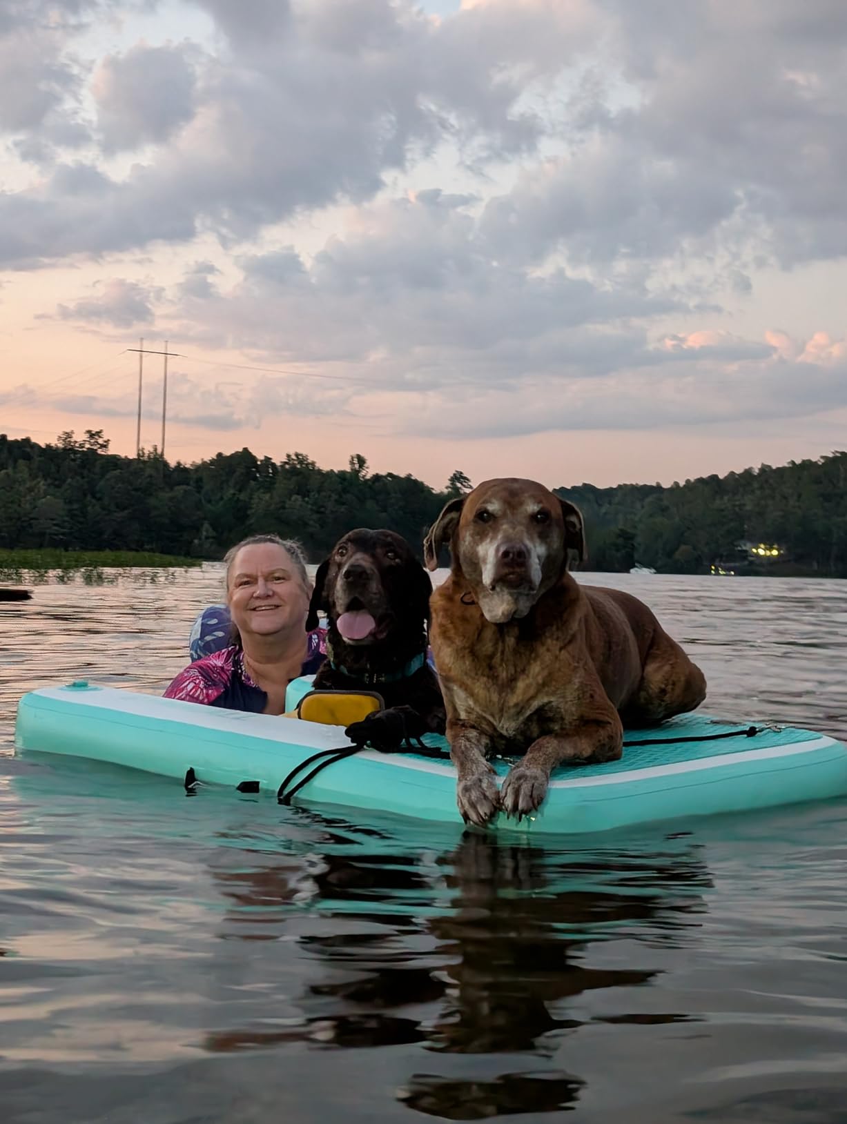 Dog Water Ramp 47 * 40inch Inflatable Pet Floating Platform Blue, Dog Dock Ramp for Boat Pool Lake Sea, Non-Slip Pool Water Ramp for Dogs up to 220lbs, EVA Float Ramp Dog Water Ladder customer photo 1