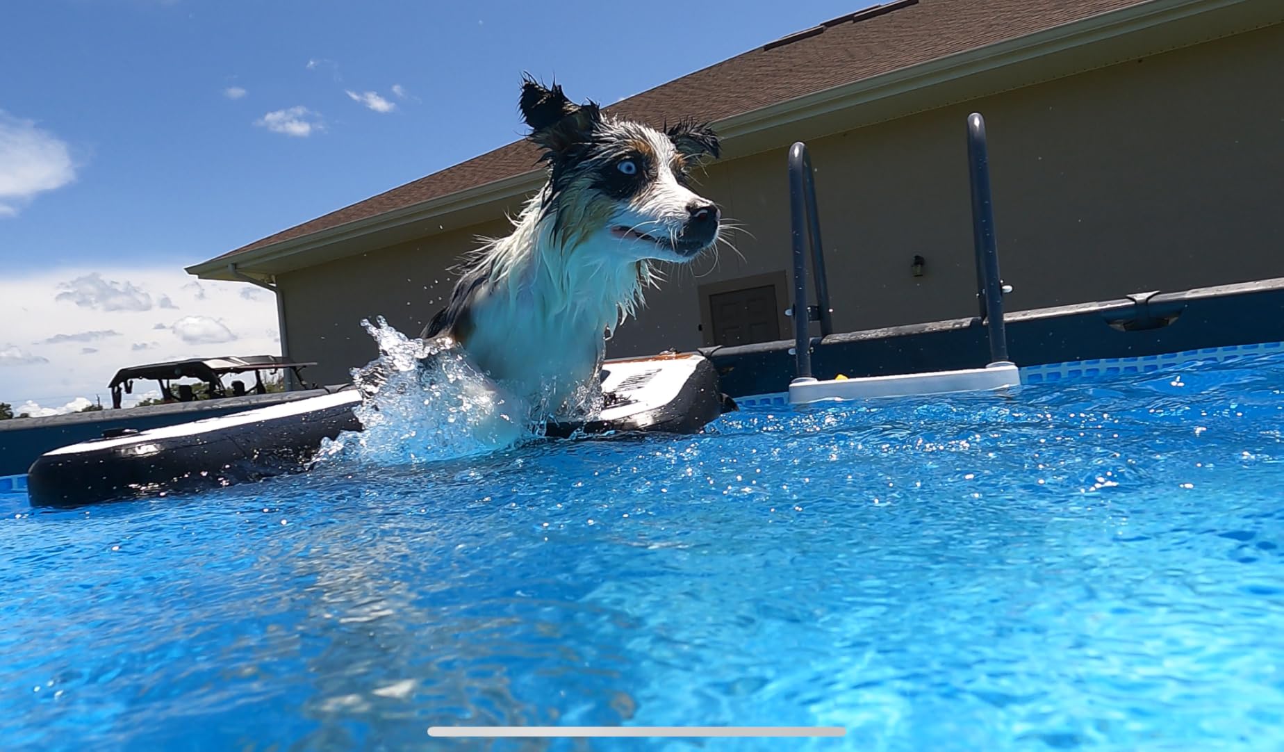 Dog Water Ramp 47 * 40inch Inflatable Pet Floating Platform Blue, Dog Dock Ramp for Boat Pool Lake Sea, Non-Slip Pool Water Ramp for Dogs up to 220lbs, EVA Float Ramp Dog Water Ladder customer photo 2