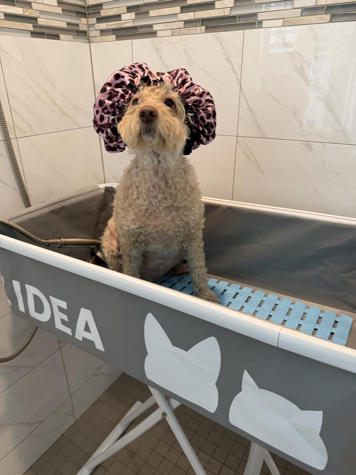PAWZIDEA 2-in-1 Portable Dog Bathtub & Grooming Table for Medium to Large Dogs up 150lb, 43