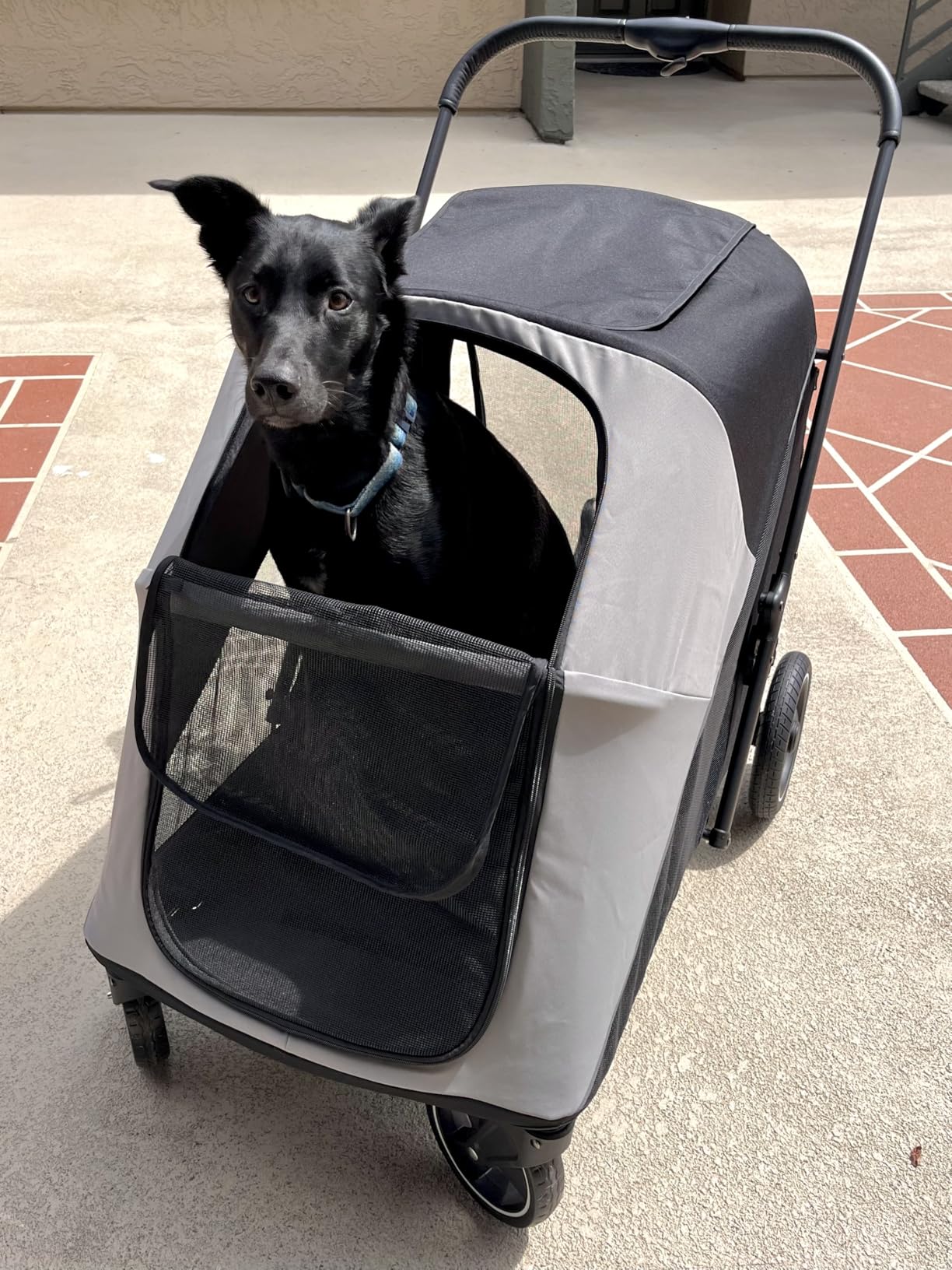 Dog Stroller for Large & Medium Dogs, 4 Wheels Pet Stroller for Large Dogs up to 120lbs, Extra Large Dog Stroller with Foldable Design, Sun Shades, Storage Pocket, Breathable Mesh customer photo 1