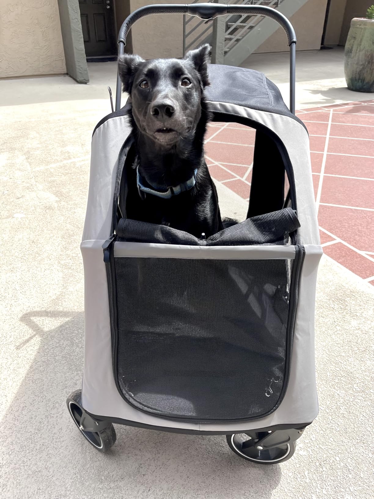 Dog Stroller for Large & Medium Dogs, 4 Wheels Pet Stroller for Large Dogs up to 120lbs, Extra Large Dog Stroller with Foldable Design, Sun Shades, Storage Pocket, Breathable Mesh customer photo 2