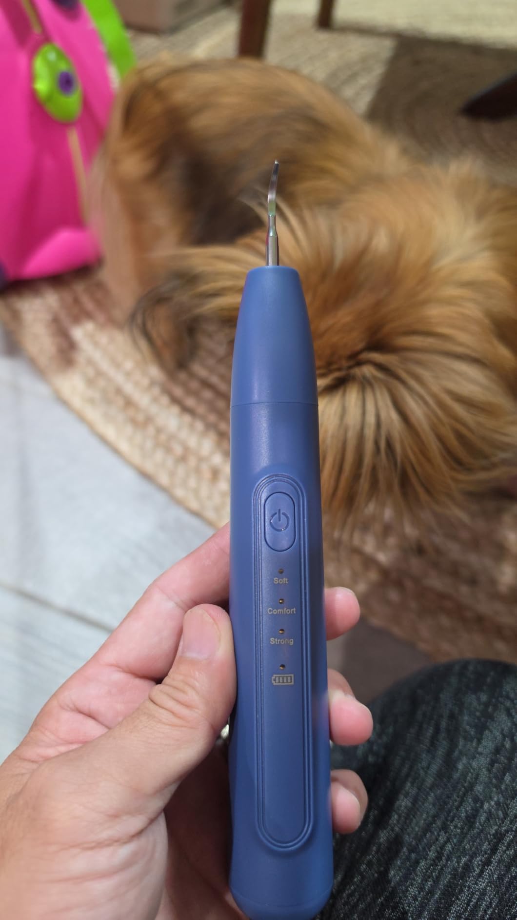 Ultrasonic Dog Plaque Remover Tool, 3 Modes Plaque and Tartar Remover for Dogs, Low Noise Sonic Dog Tartar Remover Dogs Plaque Remover with Toothbrush 2 Cleaning Head for Pet Dental Care, Blue customer photo 1