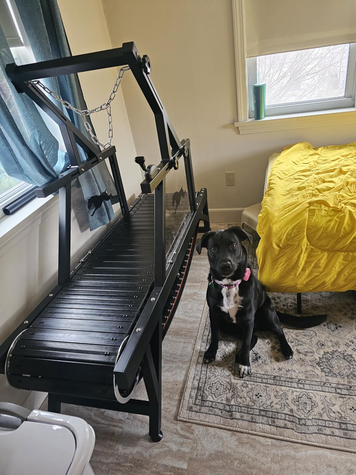 Dog Treadmill, HotFeed Dog Slat Mill for Medium Dogs, Doggy Treadmill with Brake & Plastic Track, Dog Pacer Treadmill to Keep Active and Fit, Up to 250LBS customer photo 1