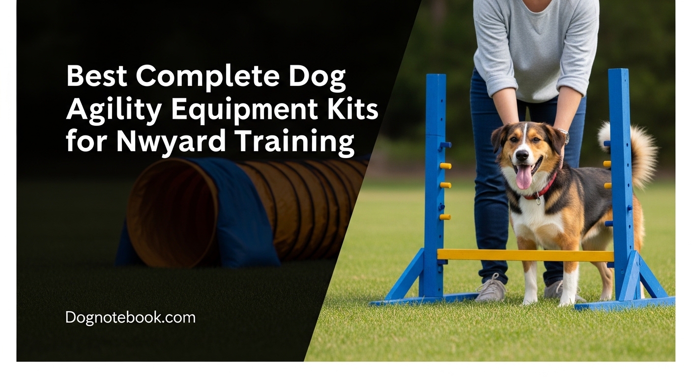 Best Complete Dog Agility Equipment Kits for Backyard Training