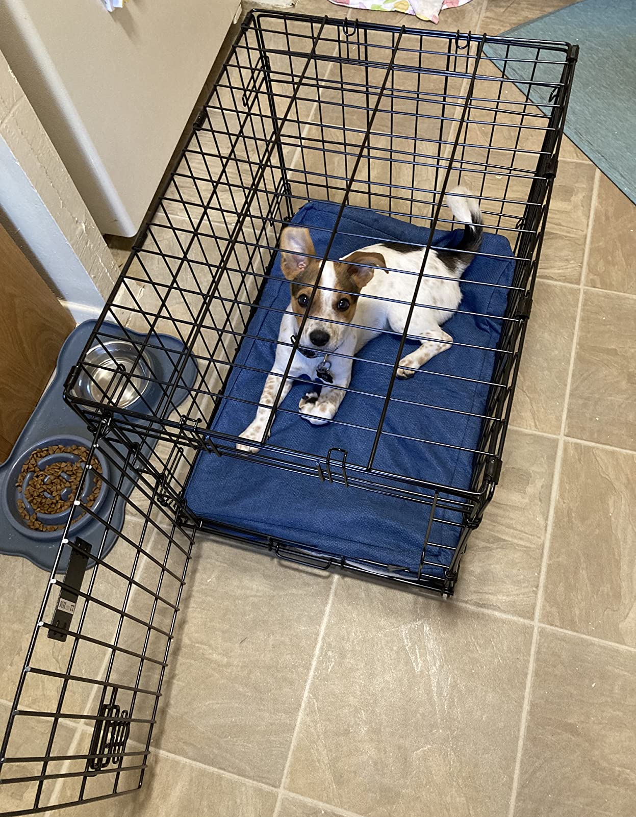 MidWest Homes for Pets 24-Inch LifeStages Crate for Small Breeds, 12-20 lbs, Single Door Folding Dog Crate with Divider Panel, Leak-Proof Tray & Secure Latch, Heavy-Duty & Easy to Assemble customer photo 1