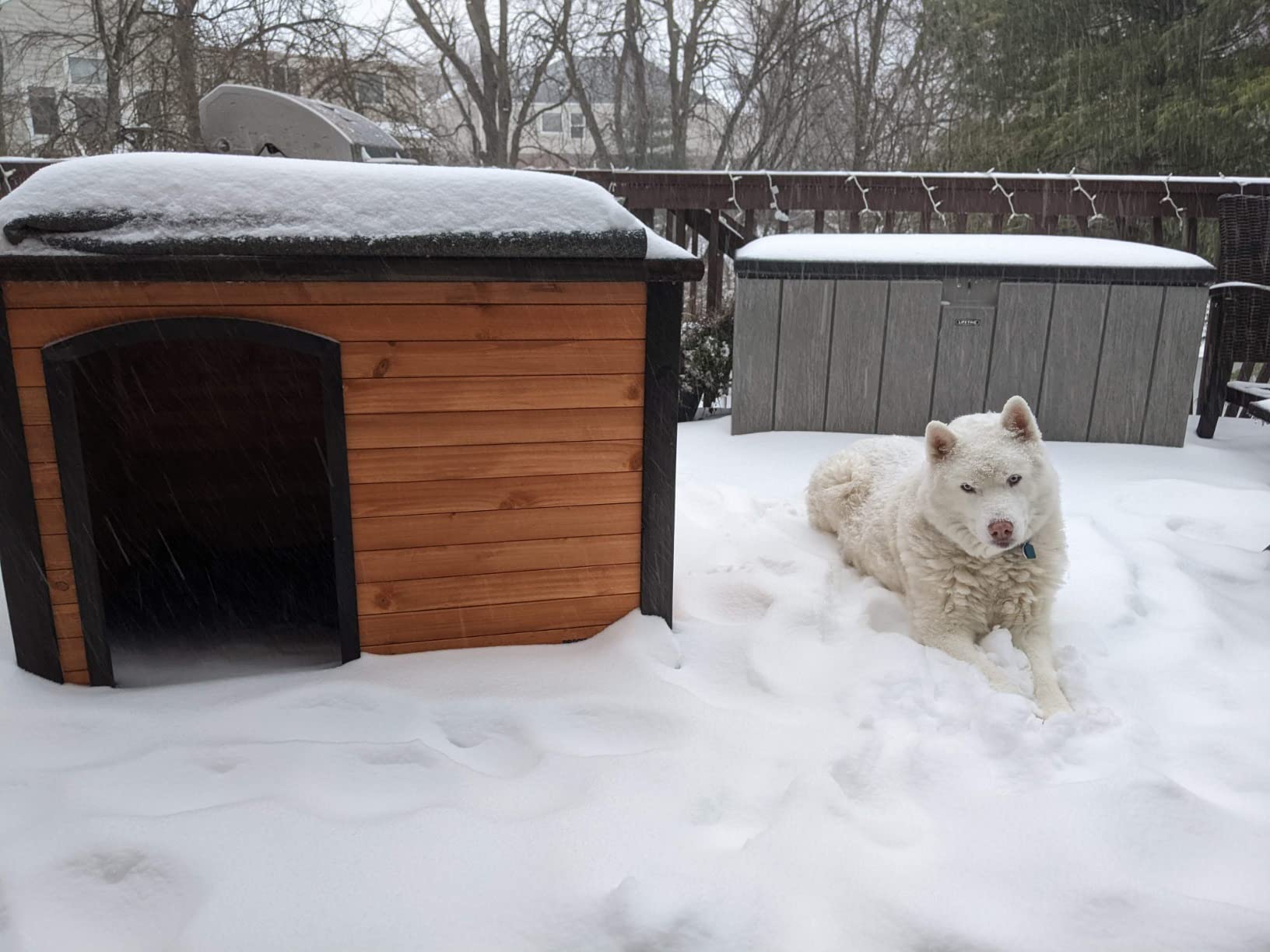 PRECISION PET PRODUCTS Extreme Outback Log Cabin Dog House, Large, Natural Wood (7027013) customer photo 1