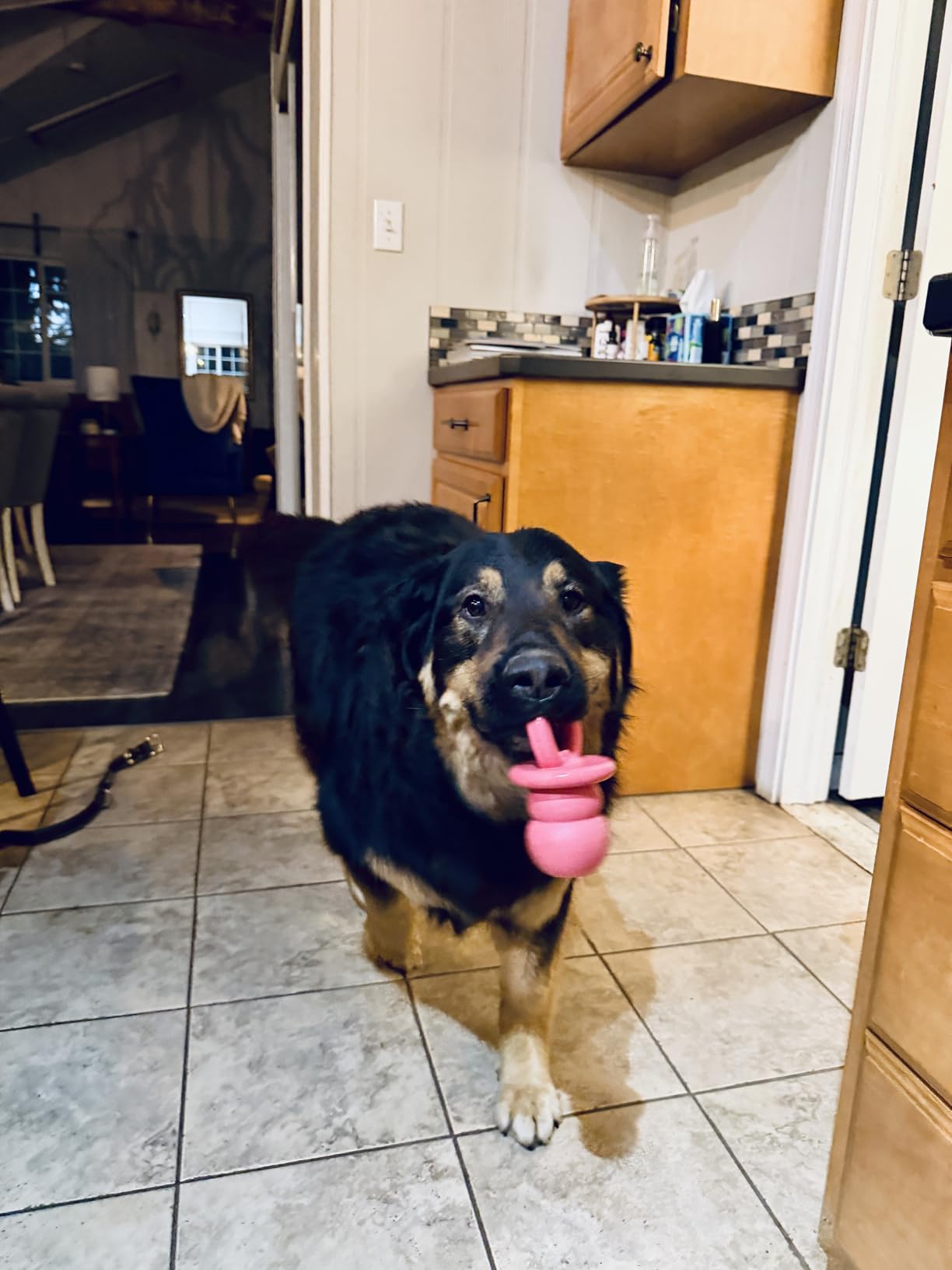 KONG Puppy Binkie - Pacifier Dog Toy for Puppies - Stuffable Treat Chew Toy for Treats - Durable Natural Rubber for Teething Puppy - for Small Puppies - Blue customer photo 1