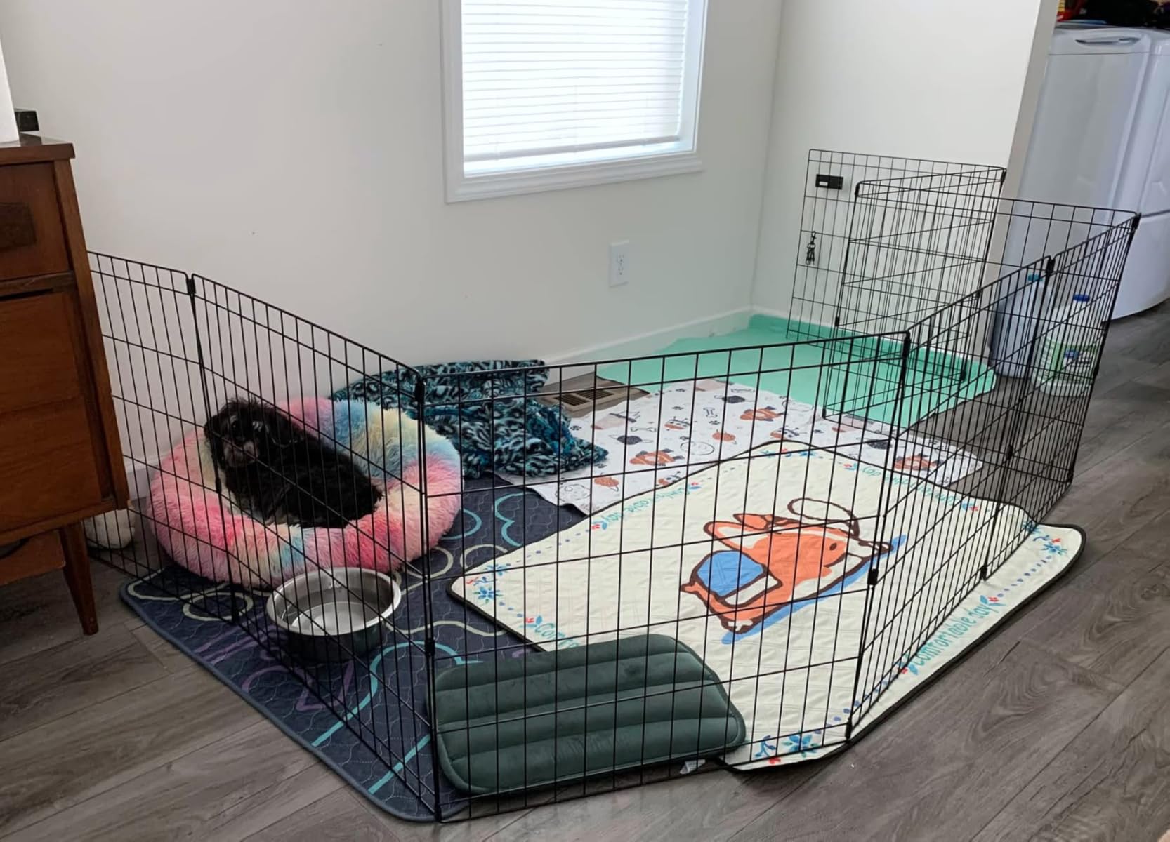 MidWest Homes for Pets Folding Metal Puppy / Dog Exercise Pen, Indoor/Outdoor Playpen with No Door, Provides 16 Sq Feet of Play Space, 30-Inches Tall, Black E-Coated customer photo 1