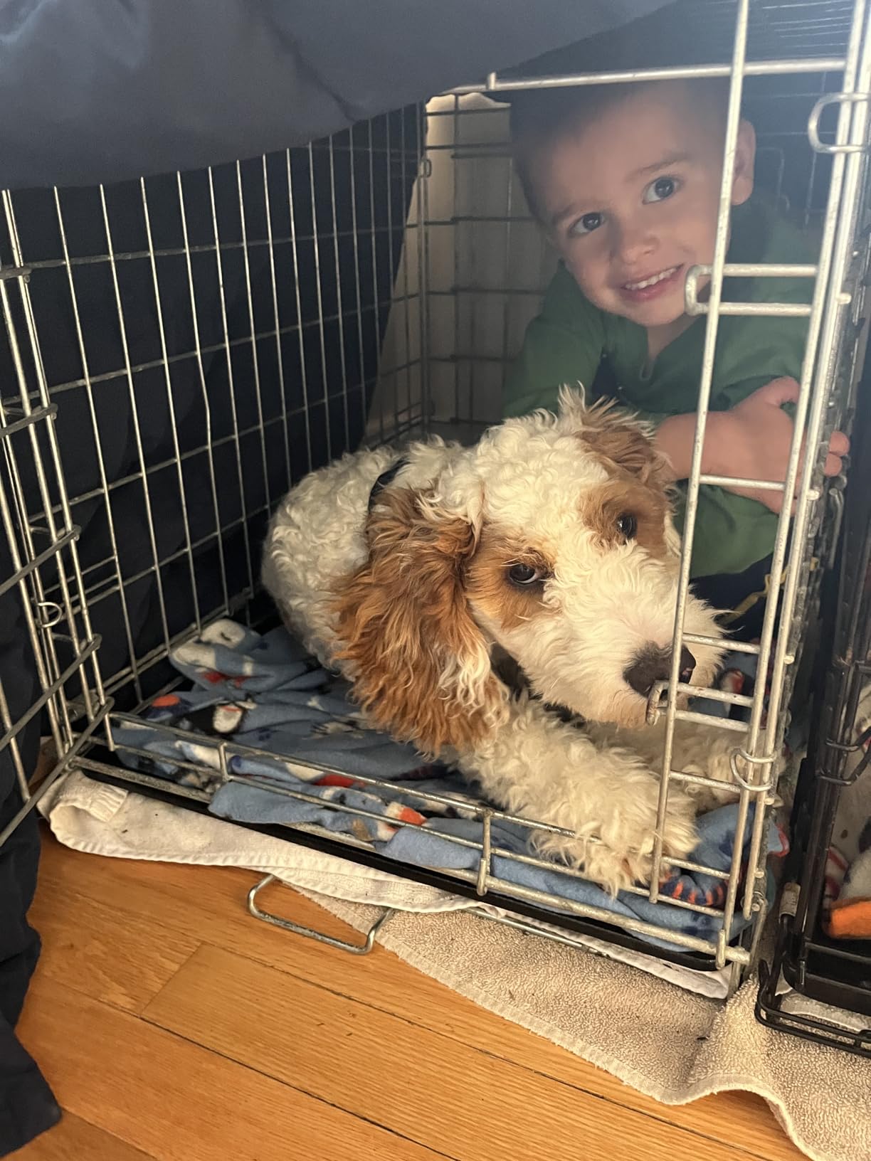 MidWest Homes for Pets 24-Inch LifeStages Crate for Small Breeds, 12-20 lbs, Double Door Folding Dog Crate with Divider Panel, Leak-Proof Tray & Secure Latch, Heavy-Duty & Easy to Assemble customer photo 1