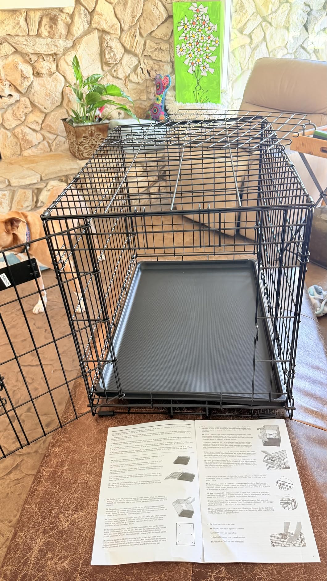 MidWest Homes for Pets 42-Inch iCrate for Large Breeds, 71-90 lbs, Single Door Folding Dog Crate with Divider Panel, Leak-Proof Tray & Secure Latch, Portable, Durable & Easy to Assemble customer photo 2