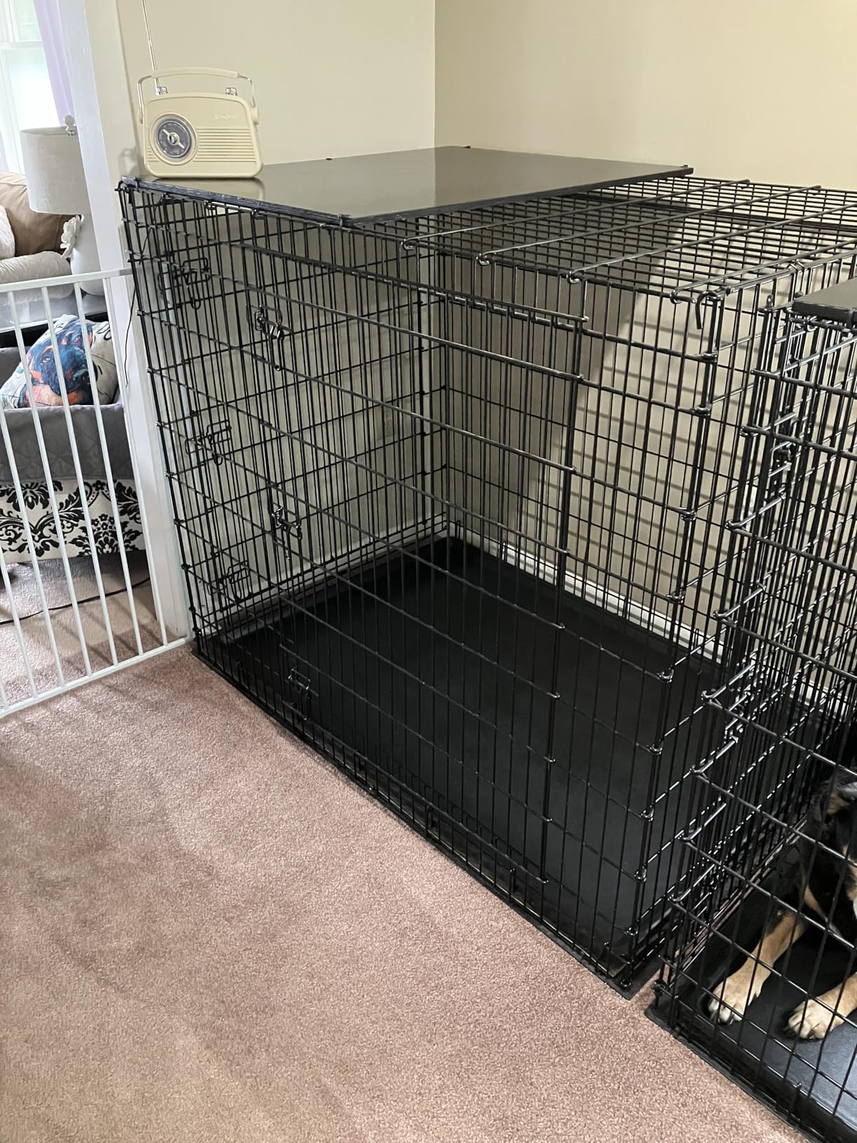 MidWest Homes for Pets 30-Inch iCrate for Medium Breeds, 21-40 lbs, Double Door Folding Dog Crate with Divider Panel, Leak-Proof Tray & Secure Latches, Portable, Durable & Easy to Assemble customer photo 2