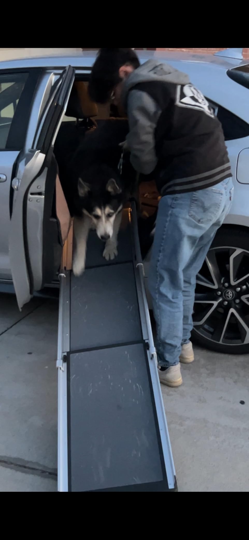 PetSafe Happy Ride Telescoping Dog Ramp, Portable Pet Ramp for Cars, Trucks & SUVs with Adjustable Sizing customer photo 2