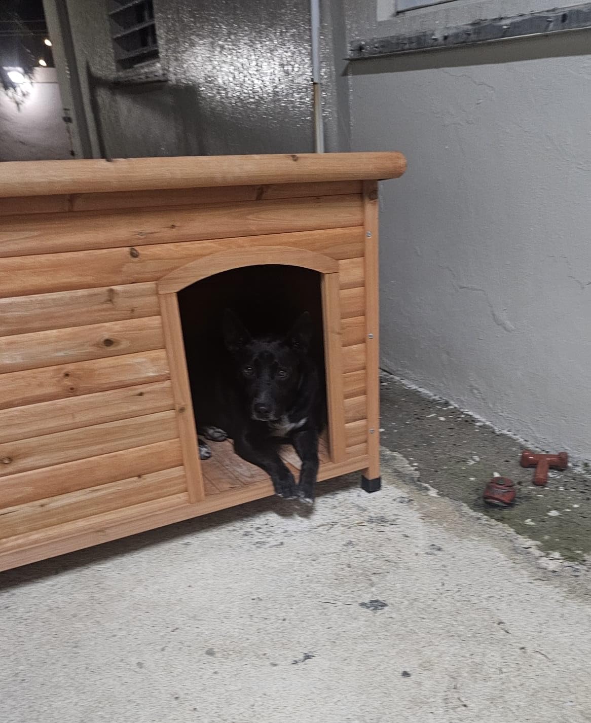 TRIXIE natura Classic Dog House - Wooden Outdoor Shelter with Weatherproof Sealer, Hinged Roof & Adjustable Legs for Small Dogs - Brown customer photo 1