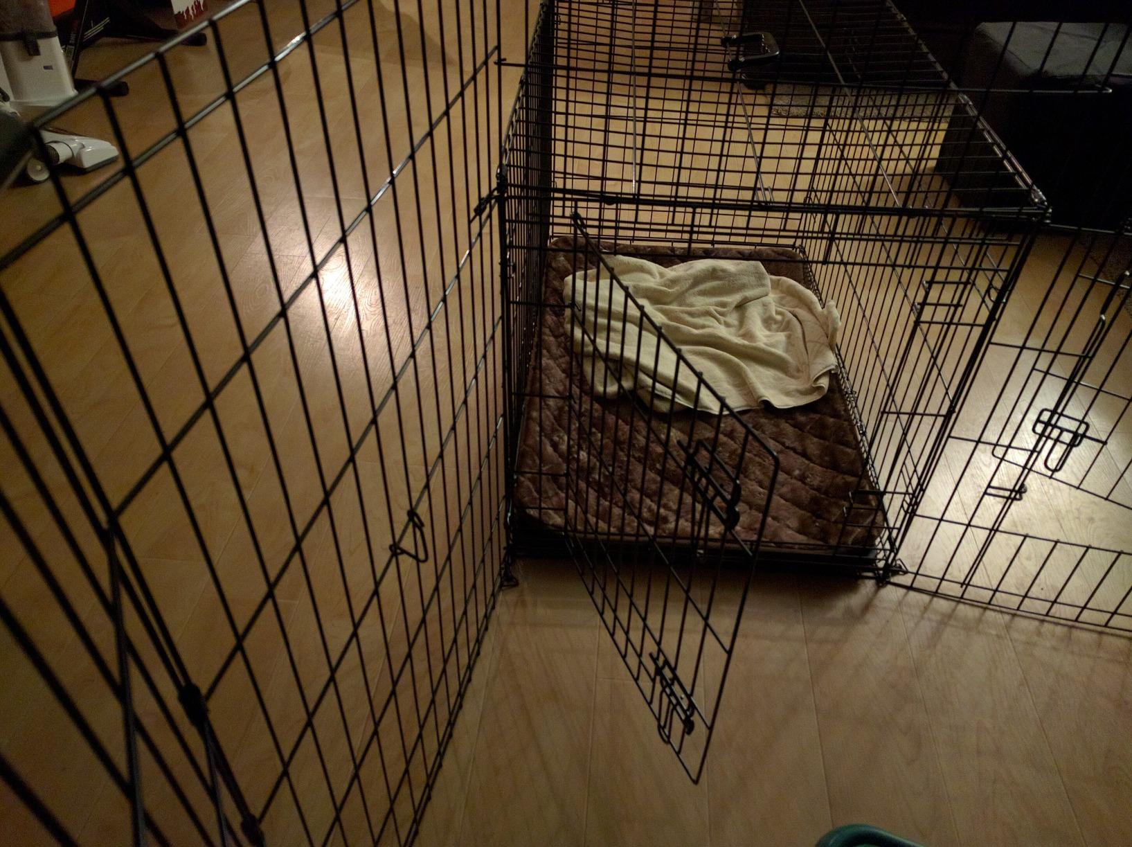 MidWest Homes for Pets 24-Inch Exercise Pen, Single Door Folding Dog Pen, Indoor and Outdoor Use customer photo 2
