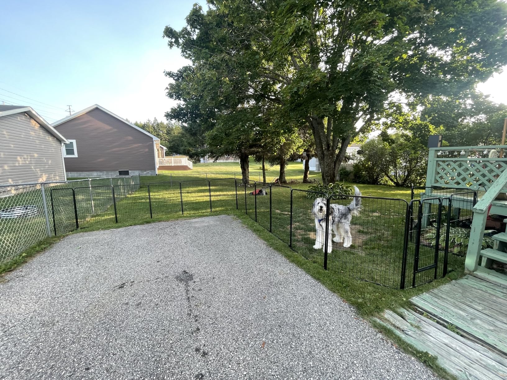 BestPet | Dog Playpen | 40 Inch, 8 Panels | Heavy Duty Metal Pet Exercise Pen | Indoor Outdoor Fence Panels | Rust-Resistant, Removable, Tool-Free Setup | Anti-Skid, Expandable Design customer photo 1