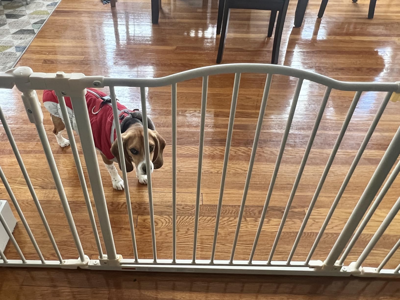 Toddleroo by North States - Deluxe Decor Safety Gate: Hardware Mounted Extra Wide Metal Baby Gate - Adjustable Child Gate - 38.3 to 72 Inches Wide - 30 Inches Tall - Matte Bronze customer photo 1