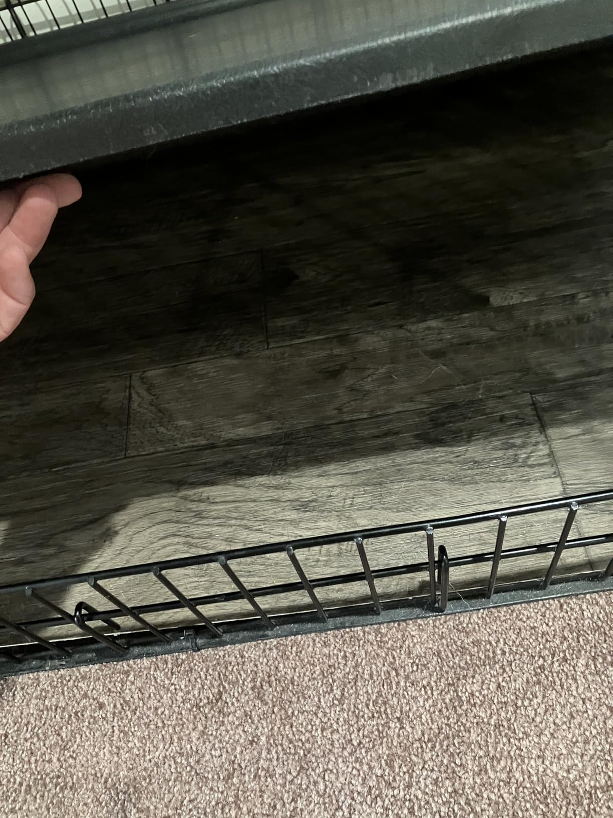 Solutions by MidWest Homes for Pets 54-Inch Drop Pin Crate for Giant Breeds Over 100 lbs, Double Door Dog Crate with Leak-Proof Tray & Secure Latches, Durable Drop Pin Construction customer photo 2