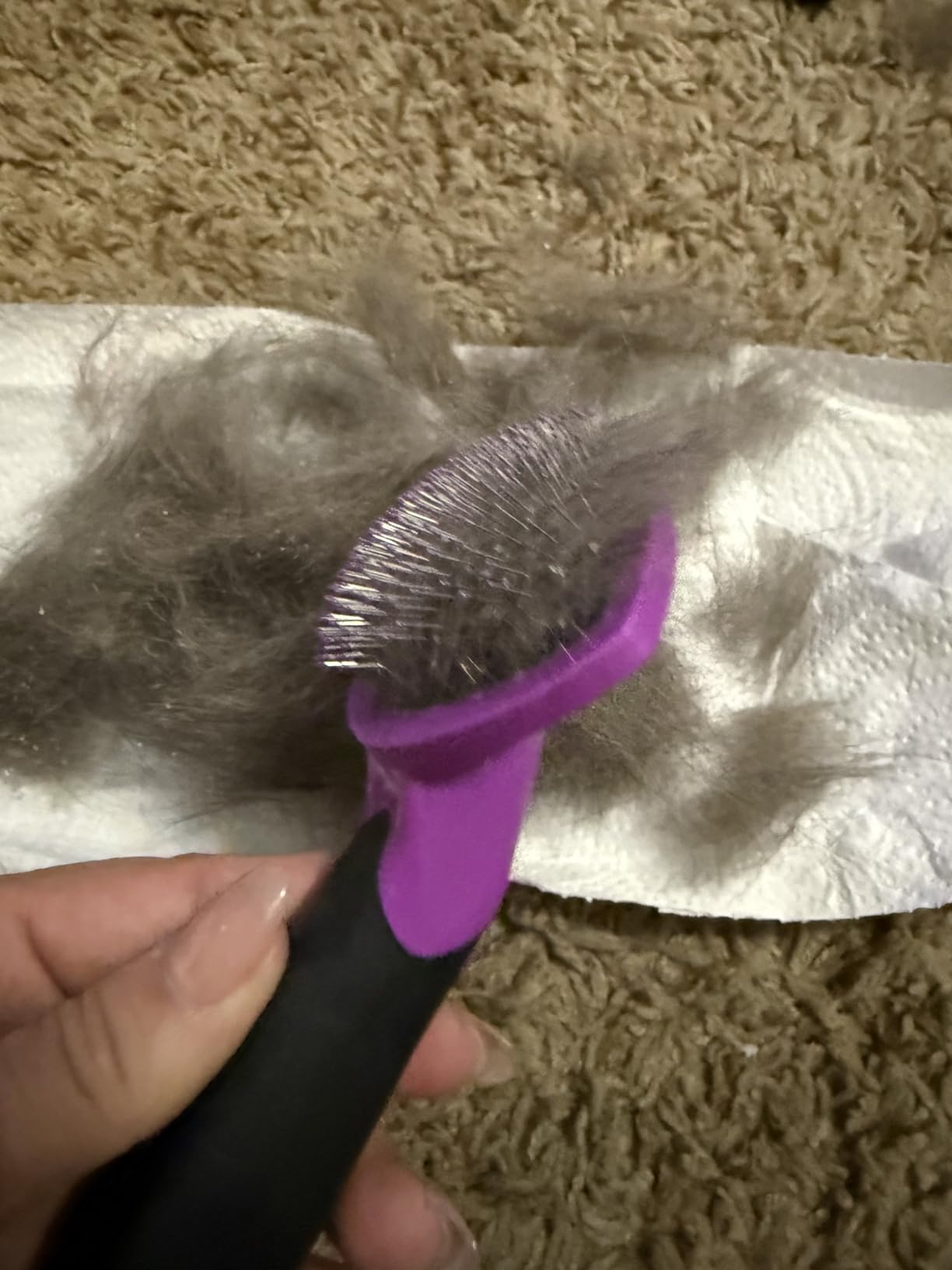 Hartz Groomer's Best Small Slicker Brush for Cats and Small Dogs, Black/Violet, 1 Count customer photo 2