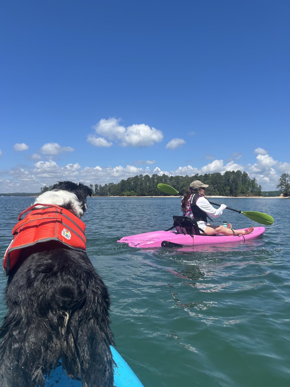Outward Hound Granby Splash Orange Dog Life Jacket, Large customer photo 1