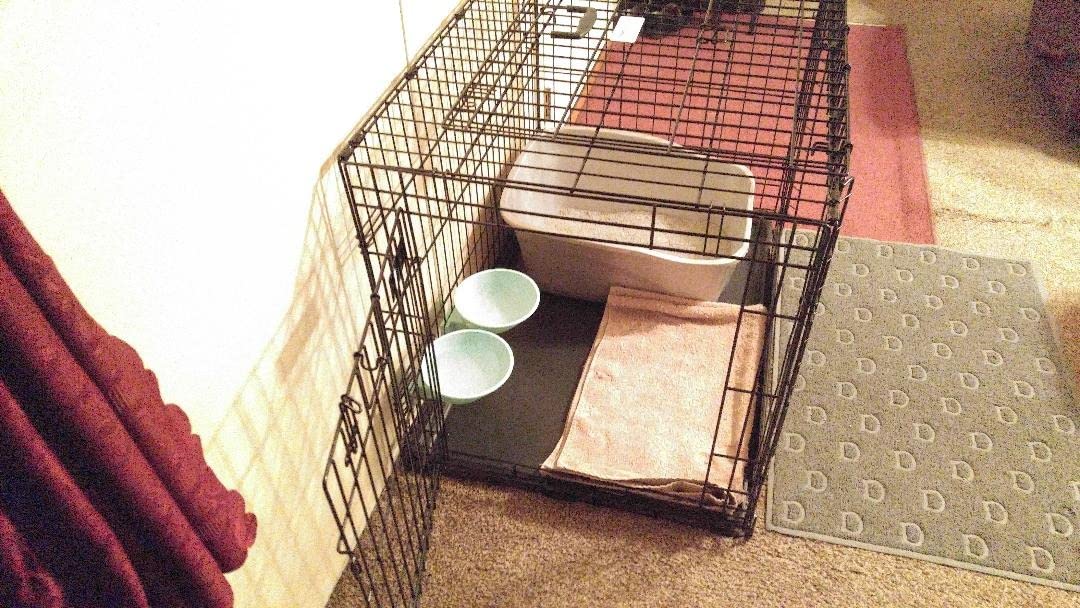 MidWest Homes for Pets Medium Ovation Double Door 30-inch Folding Metal Dog Crate, Front and Up & Away Side Doors, Space-Saving Design customer photo 1