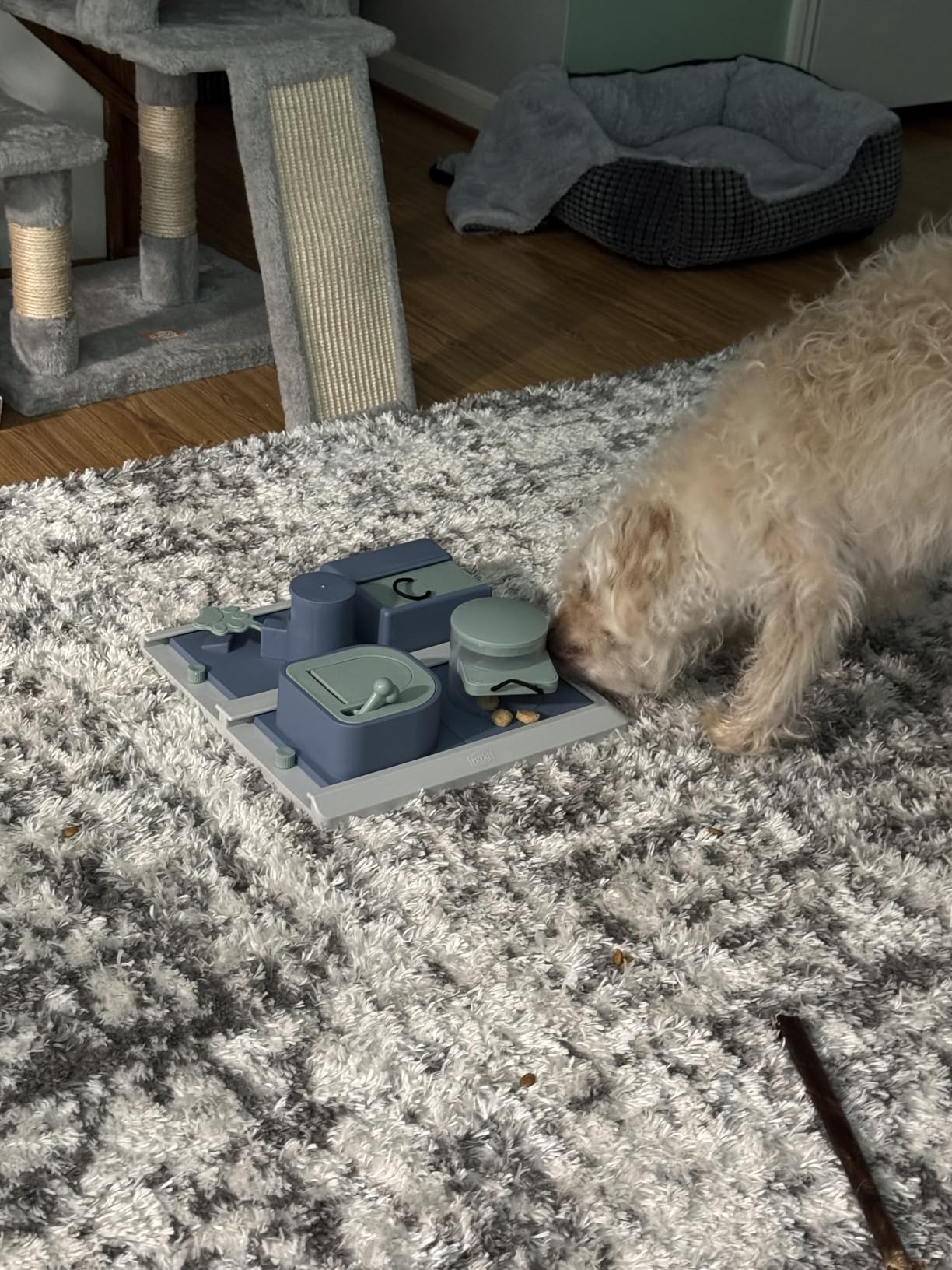 TRIXIE Poker Box 2 Dog Activity Interactive Toy, Level 3 Food Puzzle Game, Brain Teasing Treat Dispenser customer photo 2