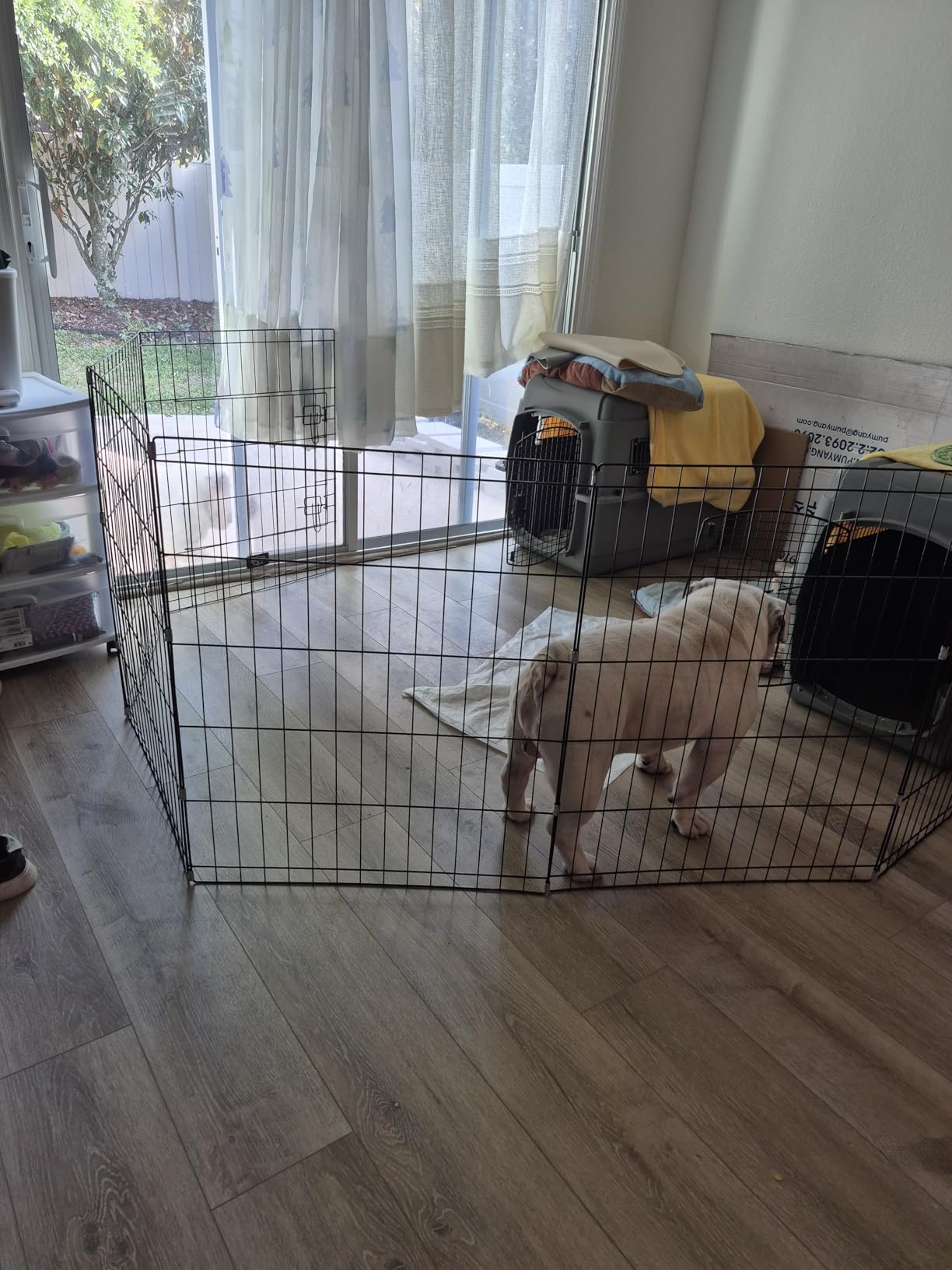 Dog Playpen - Foldable Metal Exercise Puppy Play Pen with 8 24x30in Panels - Indoor/Outdoor Pen with Door for Dogs, Cats or Small Animals by PETMAKER customer photo 1