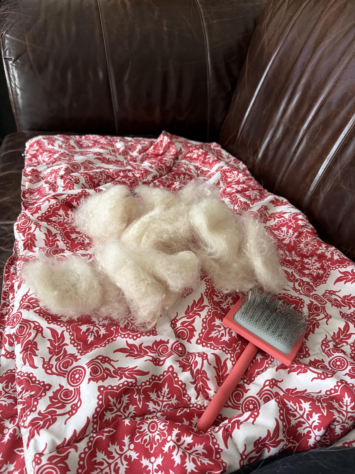 Big G Dog Slicker Brush for Dogs (Goldendoodles, Labradoodles, Poodles), Groom Like a Professional, Fluff Detangle Style, Saves Time Energy, Coral, Large customer photo 2
