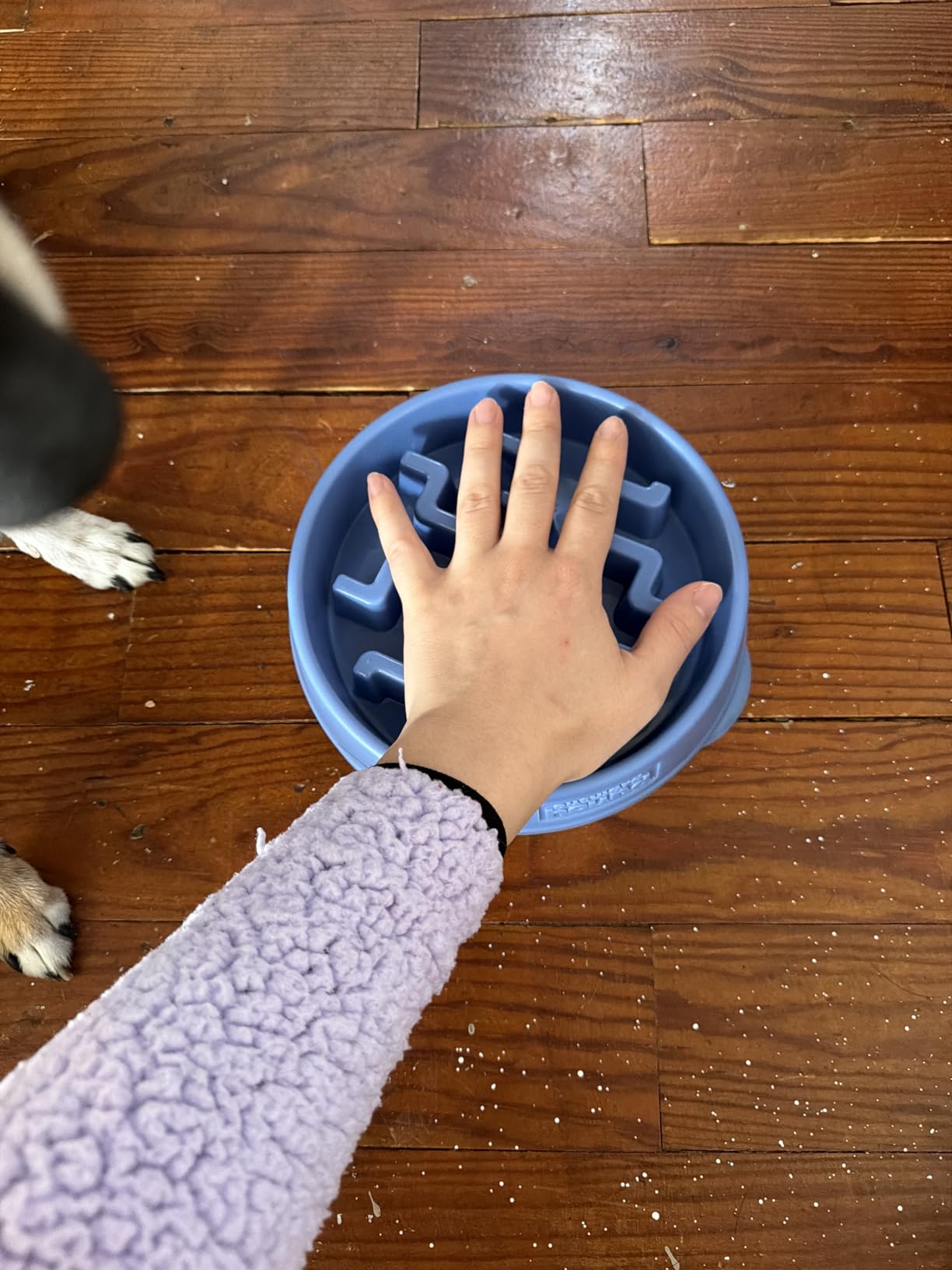 Outward Hound Fun Feeder Slo Bowl - Medium 2-Cup Capacity, Slow Feeding, Small to Medium Dogs & Cats, Non-Slip, Turquoise, Drop Pattern customer photo 2