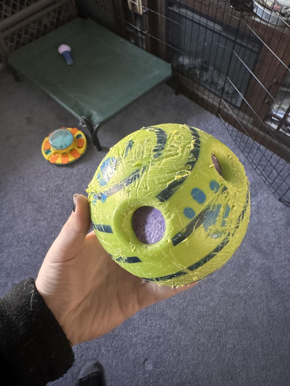 Wobble Wag Giggle Ball, Interactive Dog Toy, Fun Giggle Sounds When Rolled or Shaken, Pets Know Best, As Seen On TV customer photo 1