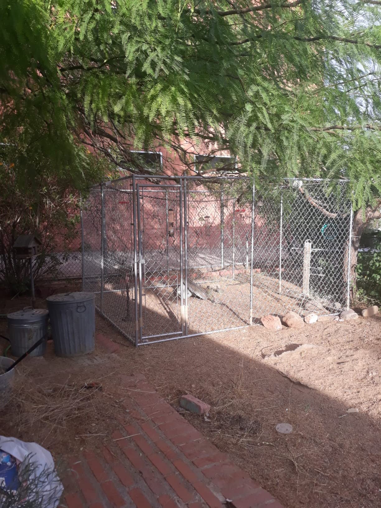 Lucky Dog 10' x 10' x 6' Heavy Duty Outdoor Welded Galvanized Steel Chain Link Dog Kennel Enclosure with 2 Configurations and Latching Door, Silver customer photo 1