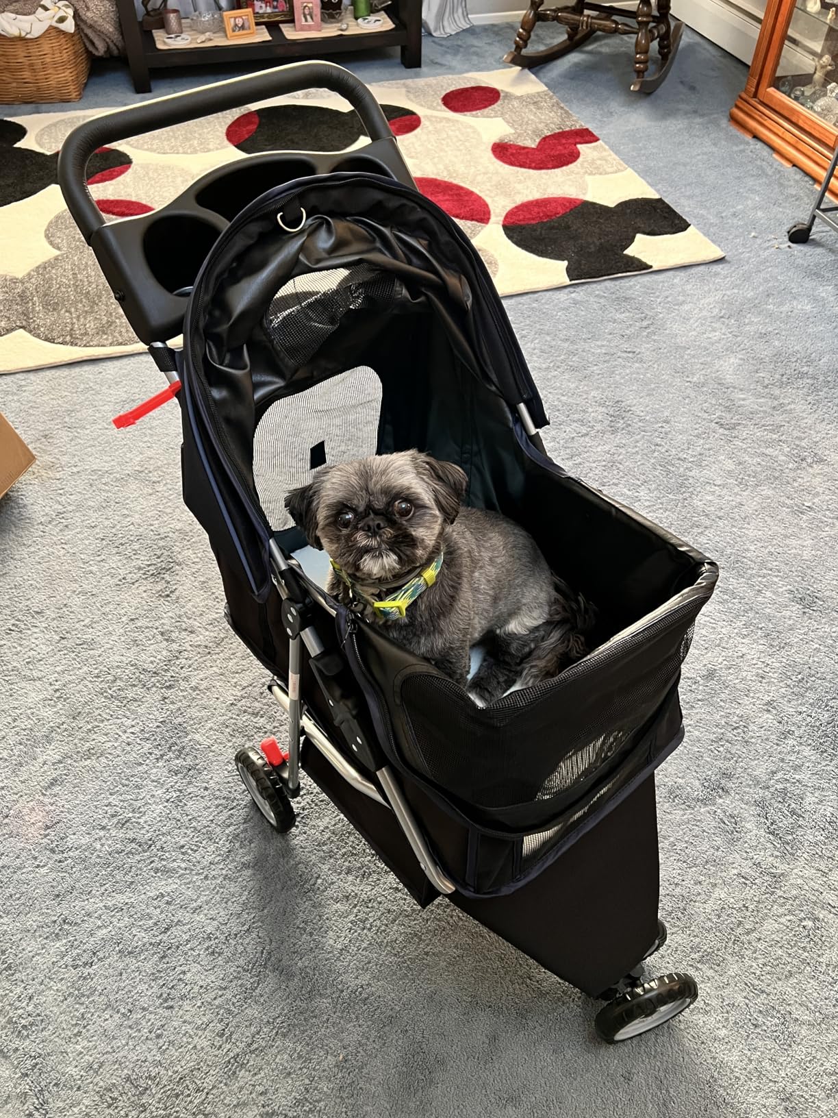 BestPet 3-Wheel Pet Stroller, Dog and Cat Stroller, Breathable Mesh, Lightweight Travel Carrier, Waterproof and Foldable Design, Storage Basket, Black customer photo 2