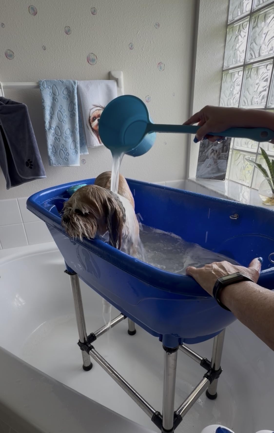 Flying Pig™ Pet Dog Cat Portable Bath Tub (White, 37.5