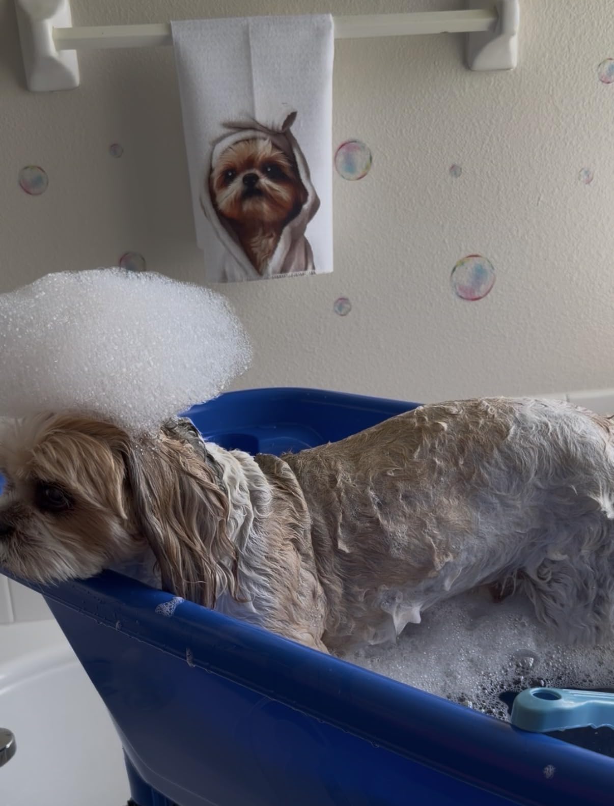 Flying Pig™ Pet Dog Cat Portable Bath Tub (White, 37.5