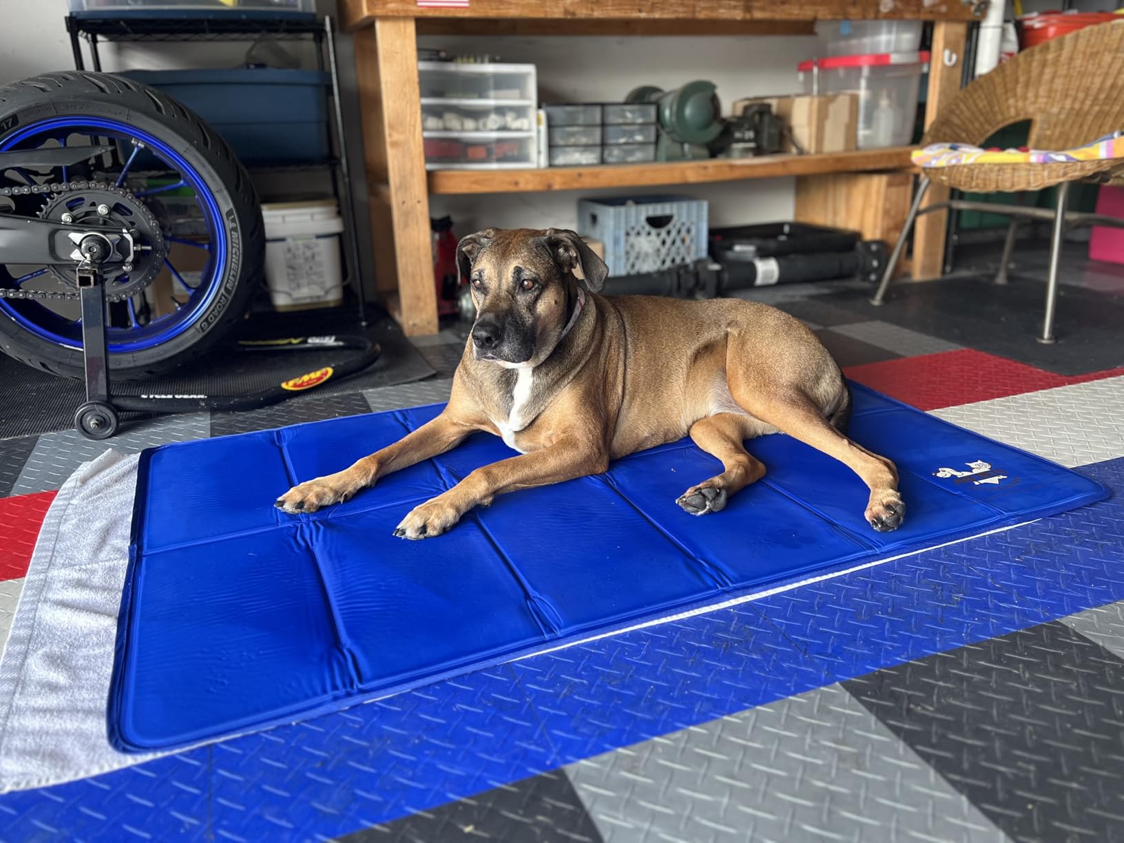 Arf Pets Dog Cooling Mat 35