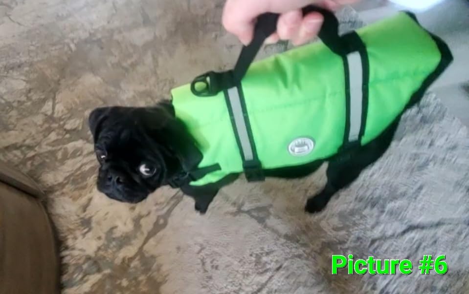 VIVAGLORY Rip Stop Dog Life Vest, Swimming Vest with Handle, Buoyancy for Doggy Puppy, Dog Life Jacket for Swimming & Boating, M, Bright Yellow customer photo 1