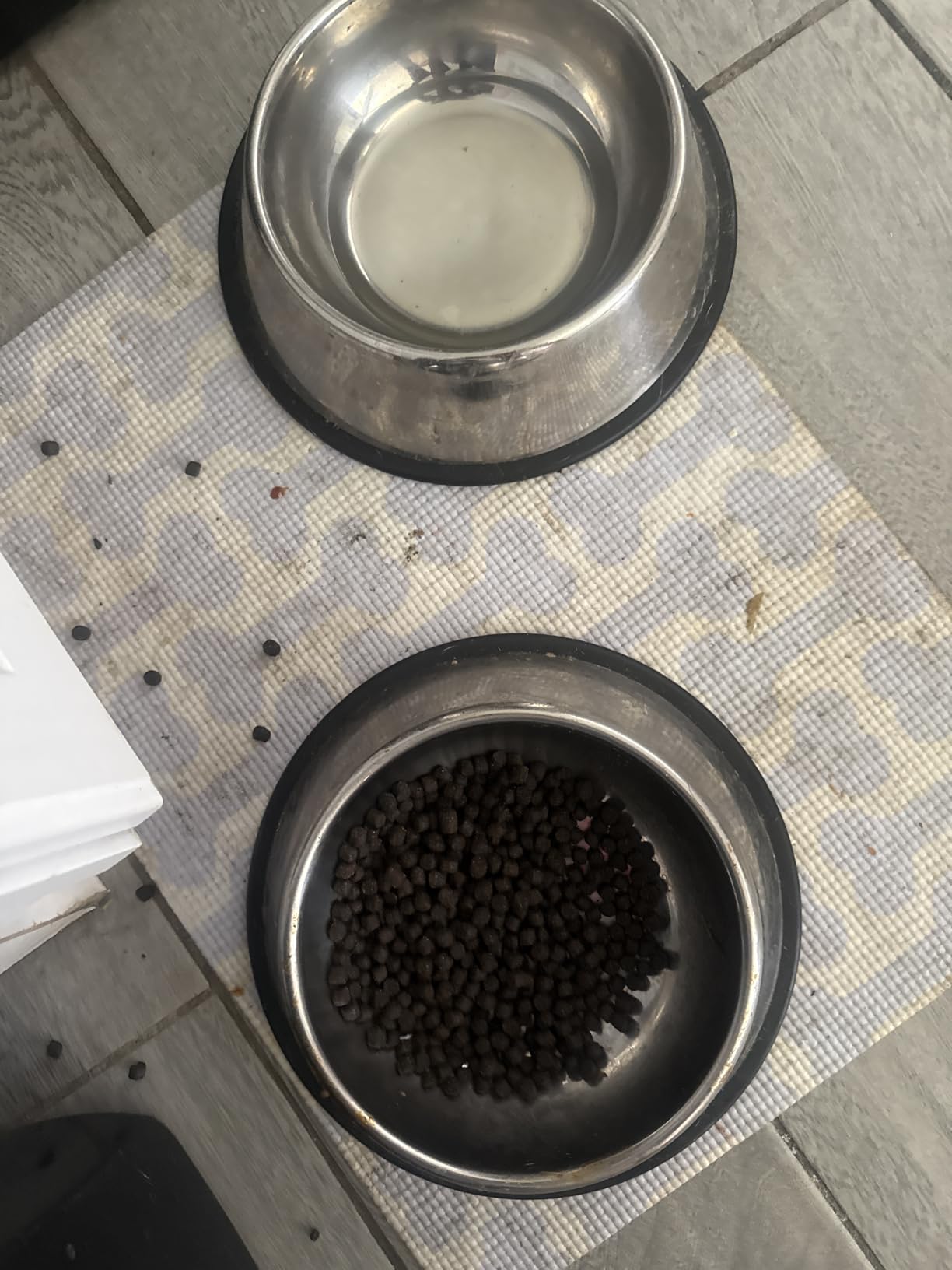 Amazon Basics Stainless Steel Non-Skid Dog Water And Food Bowls, Dishwasher Safe, Rust Resistant, 38oz Capacity, 10 x 2.8 Inches, 2-Pack customer photo 1
