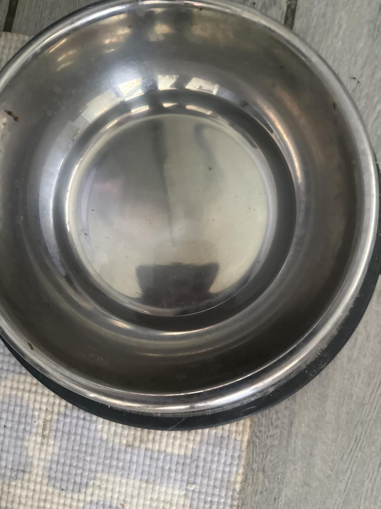 Amazon Basics Stainless Steel Non-Skid Dog Water And Food Bowls, Dishwasher Safe, Rust Resistant, 38oz Capacity, 10 x 2.8 Inches, 2-Pack customer photo 2