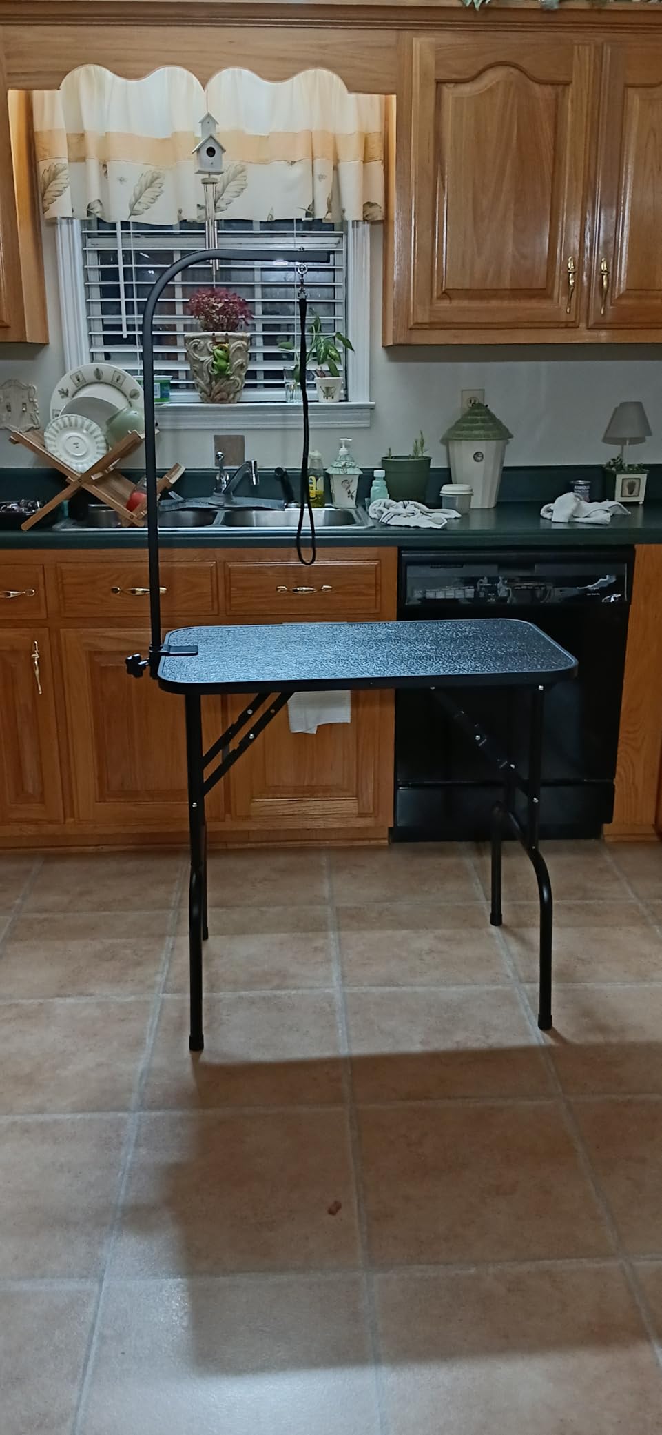 Yaheetech 32-inch Foldable Pet Dog Grooming Table with Adjustable Height Arm Drying Table for Home w/Noose for Small Dogs Cats Non-Slip Maximum Capacity Up to 220lbs Black customer photo 1