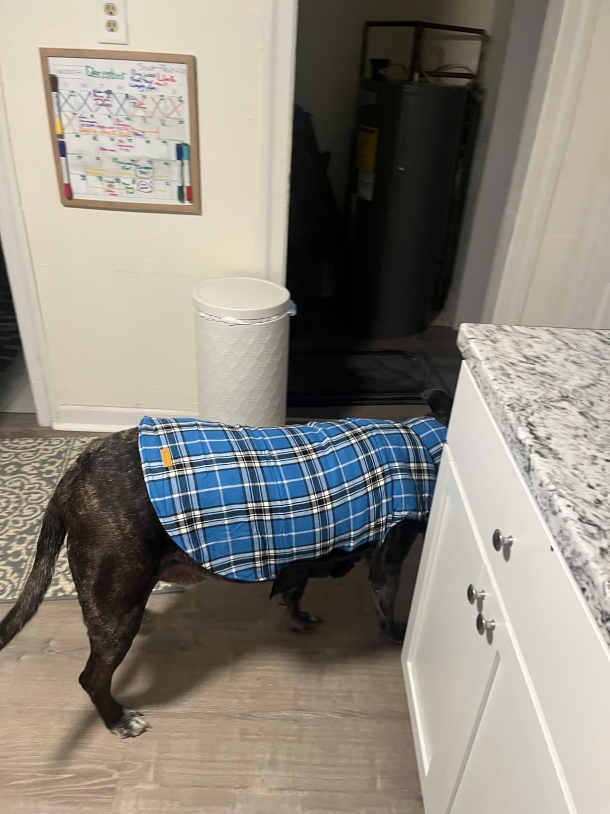 Kuoser Waterproof Dog Coat, Reversible Dog Jacket for Large Dogs, Adjustable Durable Doggie Winter Coat for Growing Puppies Warm Puppy Cold Weather Apparel - Green L customer photo 2