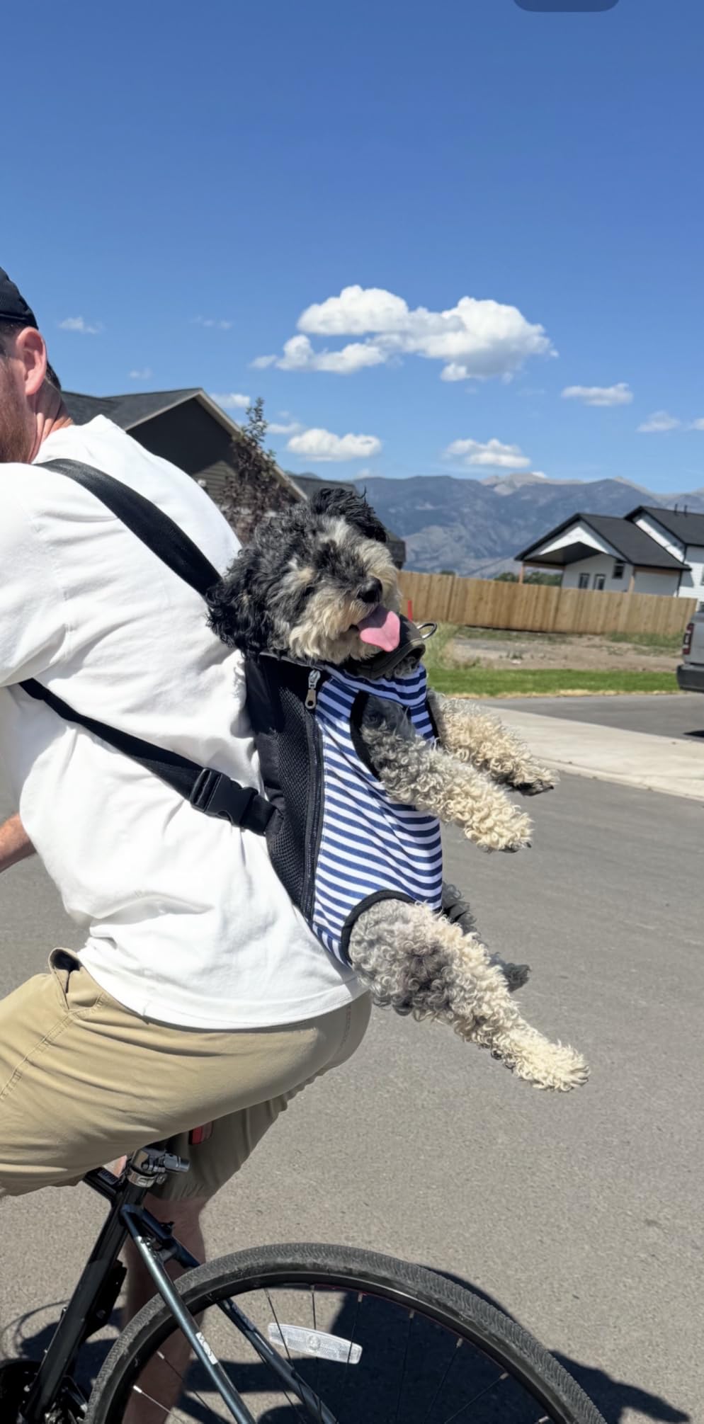 Pawaboo Pet Carrier Backpack, Adjustable Pet Front Cat Dog Carrier Backpack Travel Bag, Legs Out, Easy-Fit for Traveling Hiking Camping for Small Medium Dogs Cats Puppies 2.5-5lbs, S, Black customer photo 2
